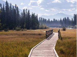 CAMINHO ENTRE A NATUREZA