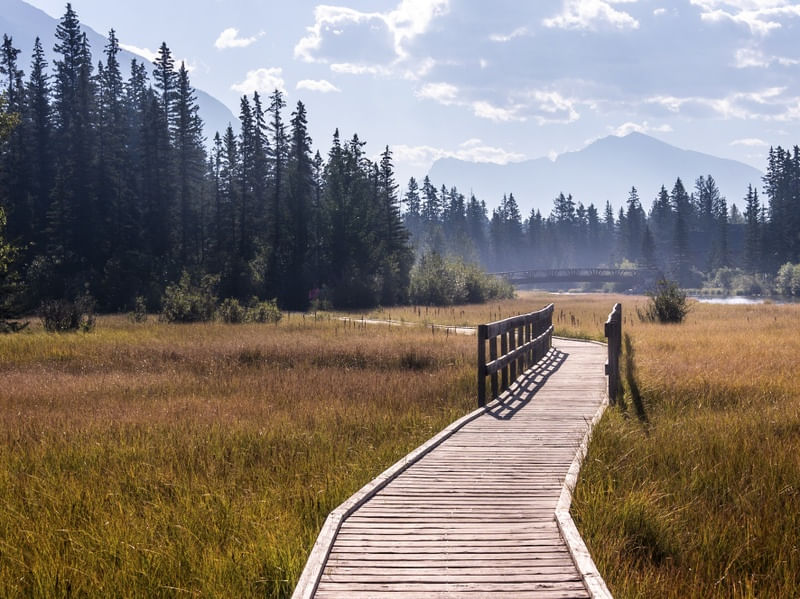 CAMINHO ENTRE A NATUREZA