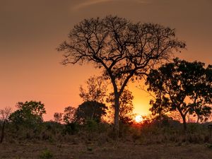 PÔR DO SOL ALARANJADO NO CERRADO