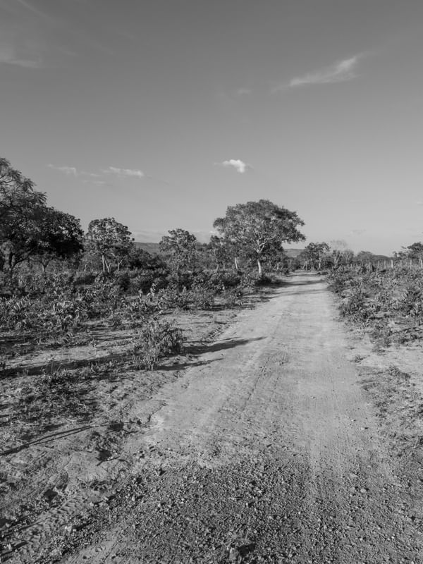 ESTRADA DE TERRA NO CERRADO