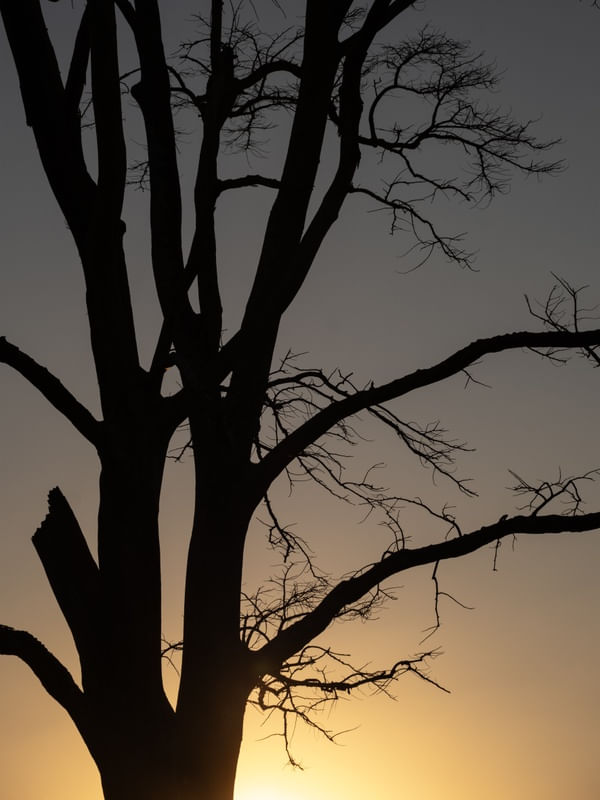 SILHUETA E POR DO SOL