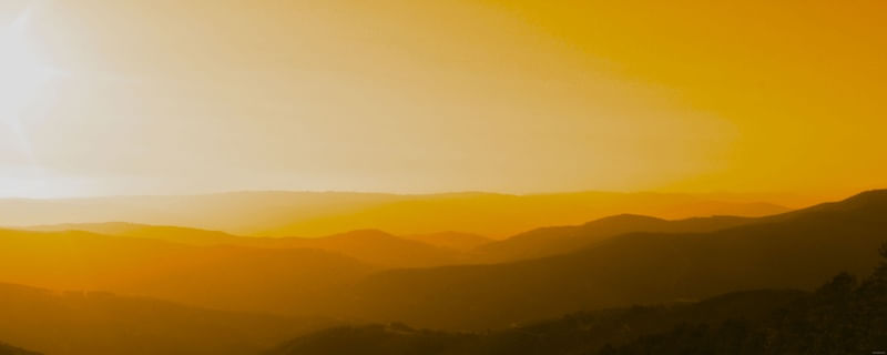 ORANGE MYST 2