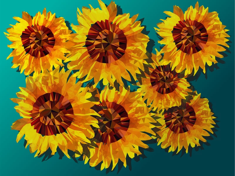 SUNFLOWERS - LOW POLY 2D