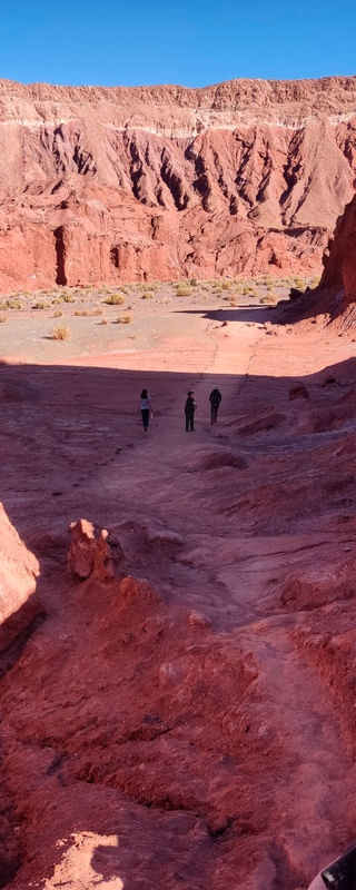 ATACAMA LM7