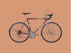 OLD BICYCLE PINK