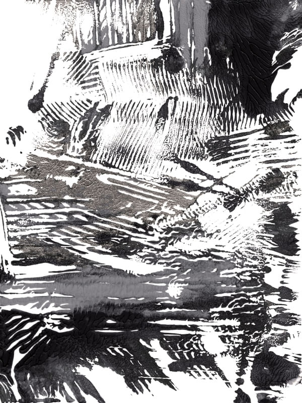 IMPRESSIONS 2 PRETO E BRANCO NEUTRO ABSTRATO ORGANICO PINTURA