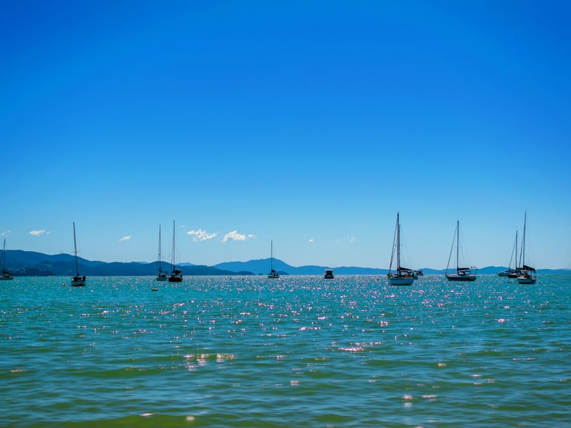 FLORIANÓPOLIS 2024 B2