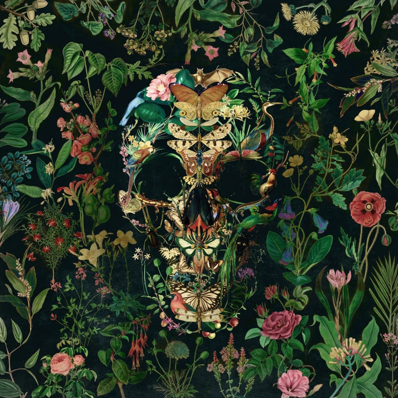 PAPILLON SKULL