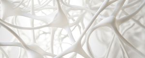 PANORAMIC WHITE I BY AI
