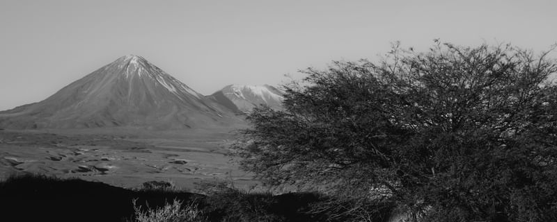 TAMARUGO E VULCÃO LICANCABUR - DESERTO DO ATACAMA PB