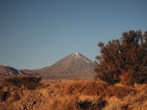 TAMARUGO E VULCÃO LICANCABUR - DESERTO DO ATACAMA III