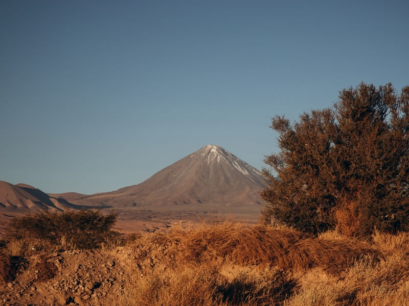 TAMARUGO E VULCÃO LICANCABUR - DESERTO DO ATACAMA III