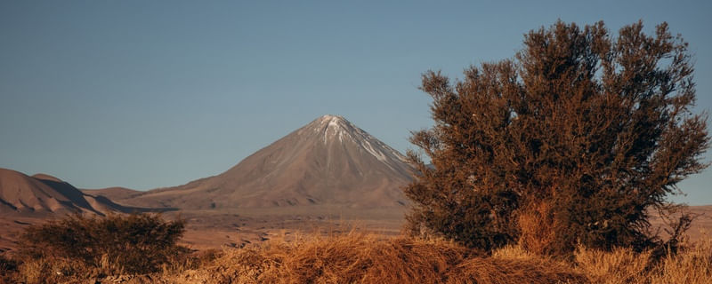 TAMARUGO E VULCÃO LICANCABUR - DESERTO DO ATACAMA IV