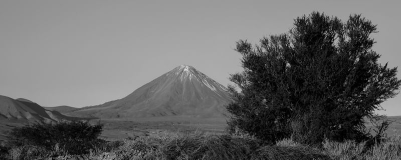 TAMARUGO E VULCÃO LICANCABUR - DESERTO DO ATACAMA PB I