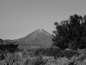 TAMARUGO E VULCÃO LICANCABUR - DESERTO DO ATACAMA PB II