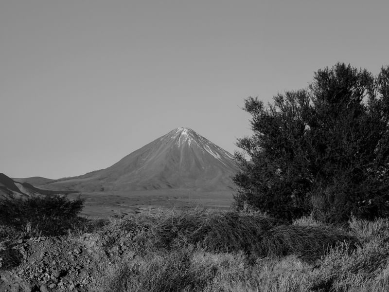TAMARUGO E VULCÃO LICANCABUR - DESERTO DO ATACAMA PB II
