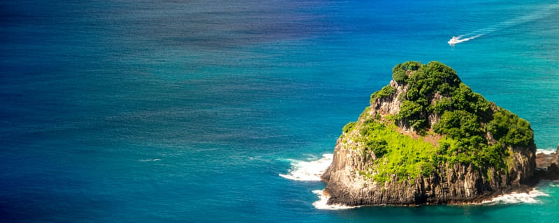NORONHA SINGULAR