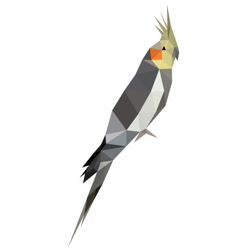 COCKATIEL - LOW POLY 2D