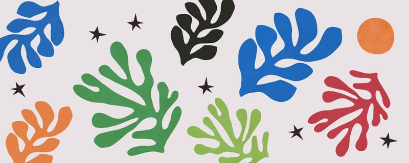 MATISSE FLORAL 15