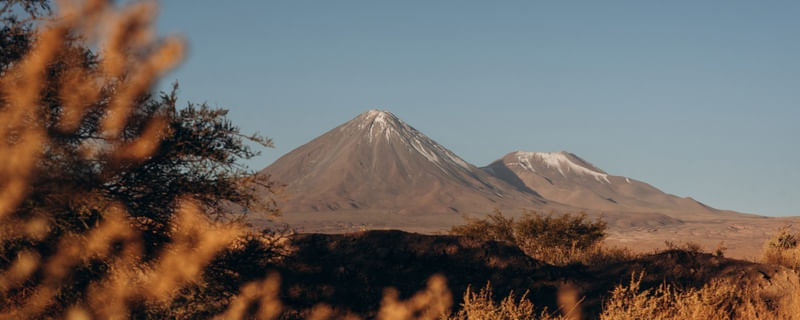 VEGETAÇÃO VULCÂNICA - DESERTO DO ATACAMA