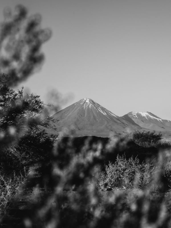 VEGETAÇÃO VULCÂNICA - DESERTO DO ATACAMA PB