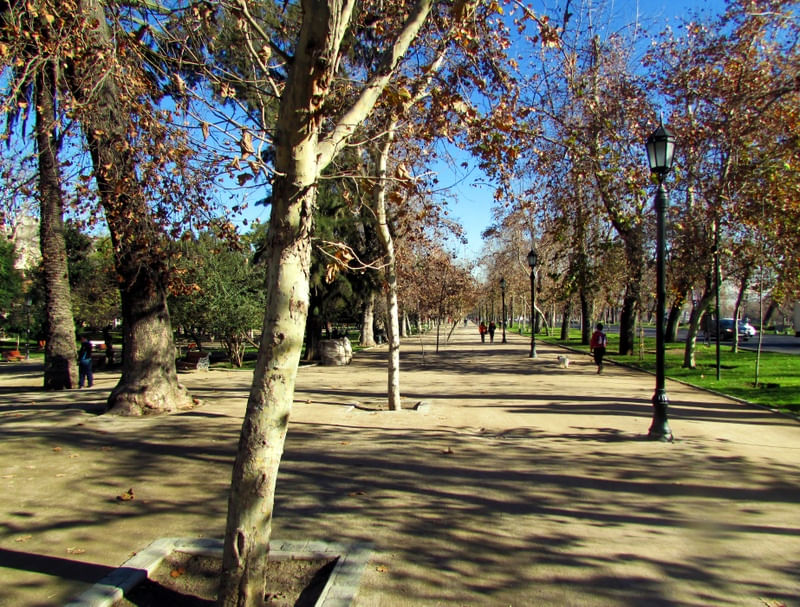 RETRATO DE UMA MANHÃ DE INVERNO NUM PARQUE DE SANTIAGO DO CHILE