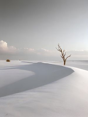 LENÇÓIS MARANHENSES LM16 BY AI