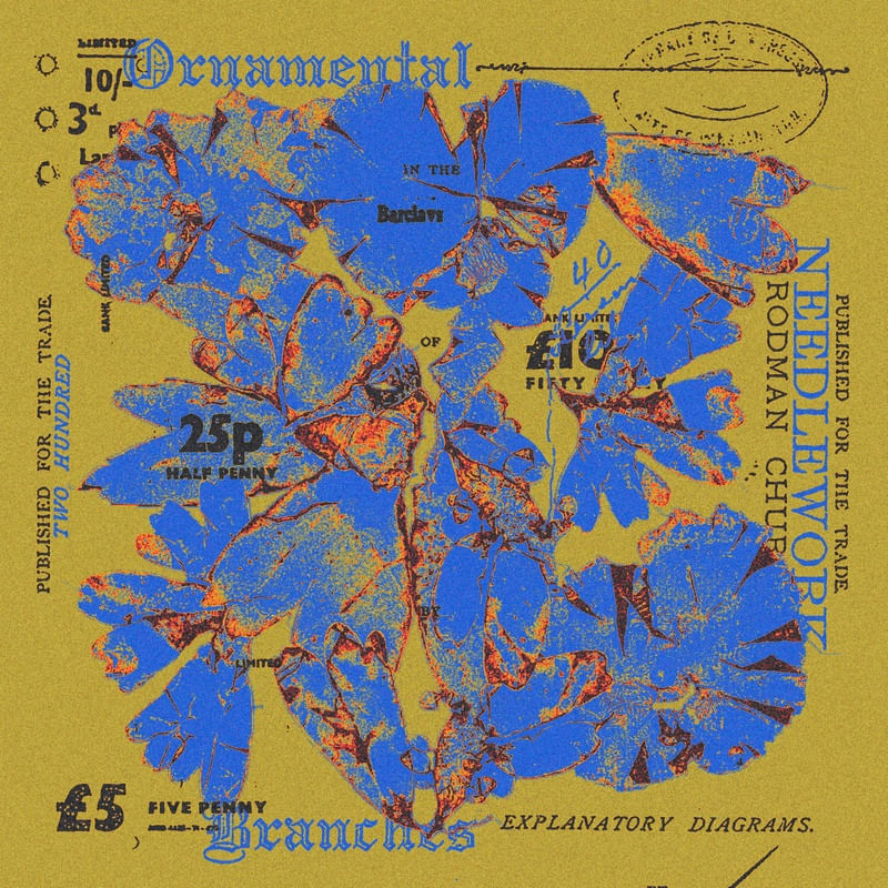ORNAMENTAL BRANCHES V5