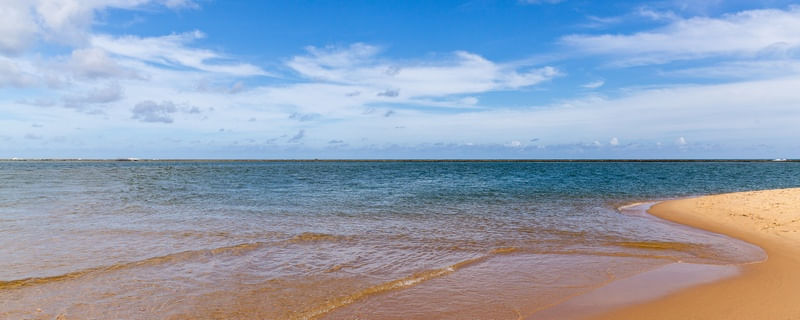PRAIA DO GUNGA - AL - PANORÂMICA