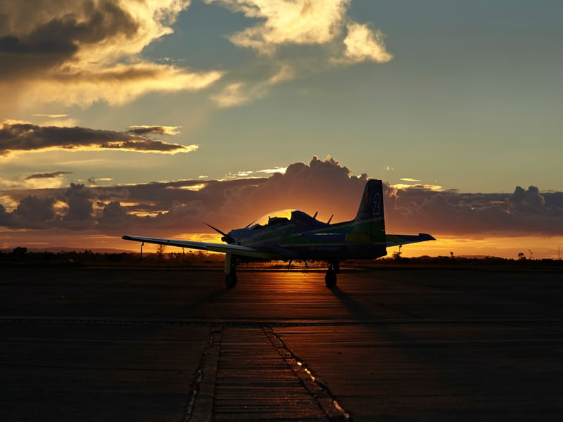 PLANE 003
