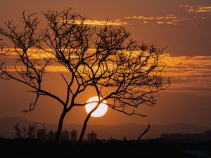 NATUREZA NO OCASO