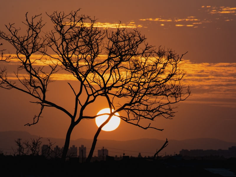NATUREZA NO OCASO
