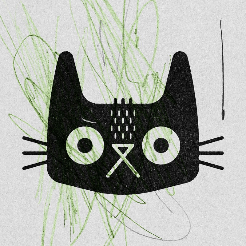 SOME WORRIES CAT FACE