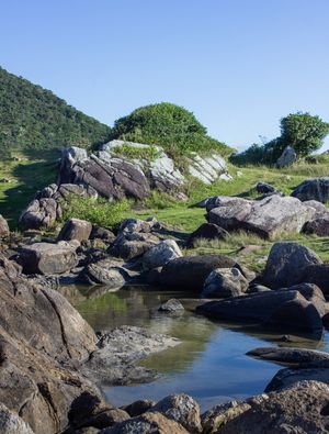 RIACHO EM MEIO À NATUREZA