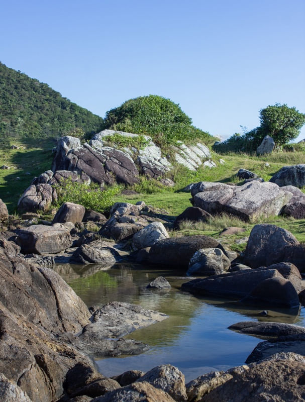 RIACHO EM MEIO À NATUREZA