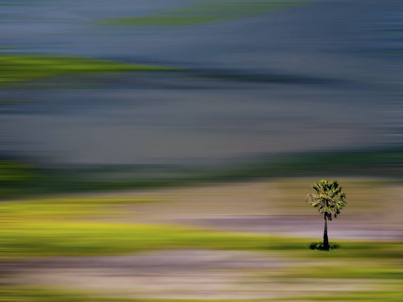 NATUREZA FLUIDA
