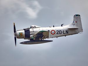 PLANE 007