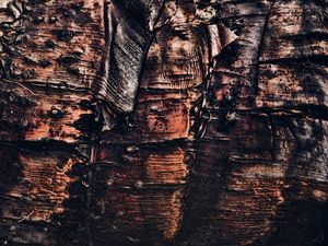 ABSTRATA I