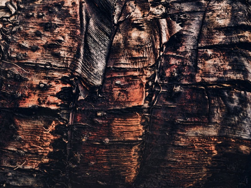 ABSTRATA I