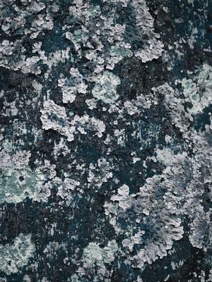 CONCRET I