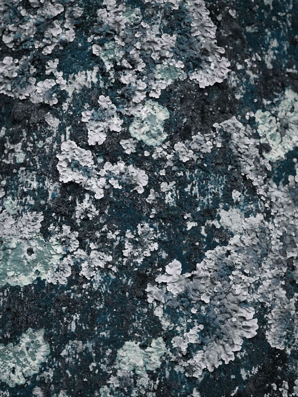 CONCRET I