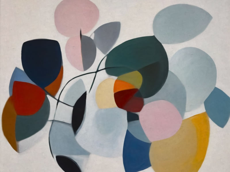 FLORES ABSTRATAS 16J2