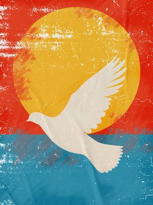 PAZ SOLAR 02