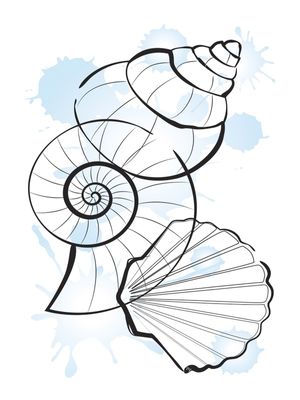 CONCHAS DO MAR MINIMALISTA