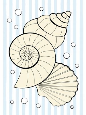 CONCHAS DO MAR AMARELO