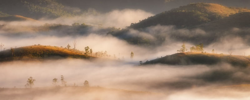 AMANHECER COM NEBLINA
