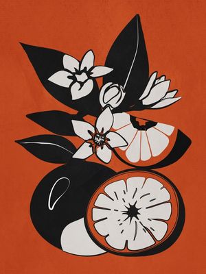 LINE ART ORANGES 1