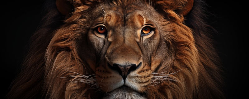 PINTURA L5161 - BY AI