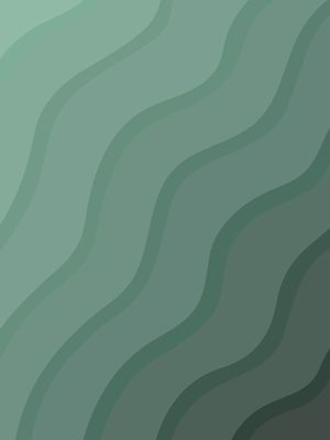 ONDAS 11