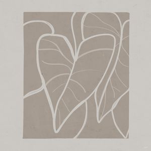 CONTOUR 25 Q